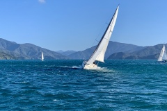 NZ King Salmon Winter Series 11 July 2021 - Credit Robin Savage