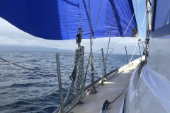Heatwave-spinnaker-Race-to-Tarakohe-26-Mar-2021