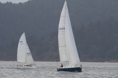 D-Edge & Bluebird Single Handed Race 22 May 2021 - credit Lisa Delaveau